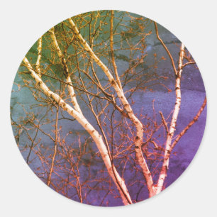 White Birch Tree Blue Sky Nature Art Classic Round Sticker