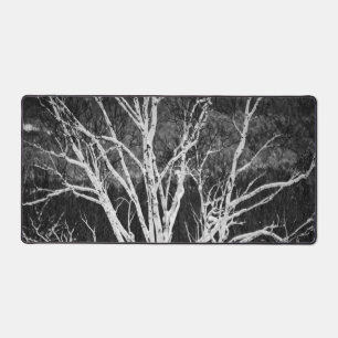 White Birch Tree In Winter Black And White Photo Desk Mat