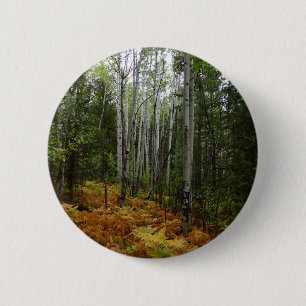 White Birch Trees and Fall Ferns at Rocky Mountain 6 Cm Round Badge