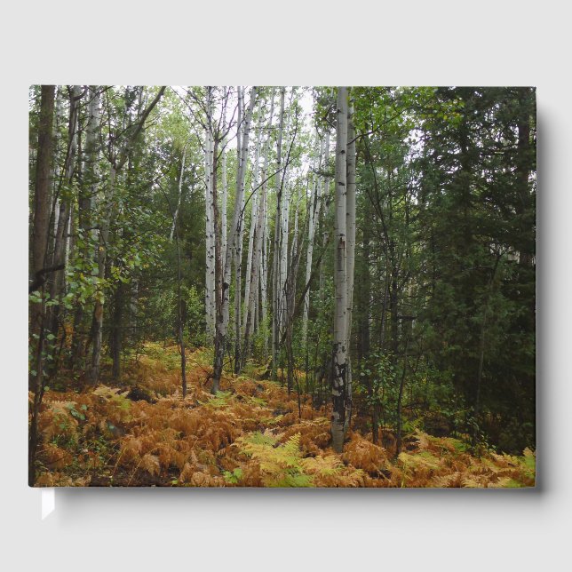 White Birch Trees and Fall Ferns at Rocky Mountain Guest Book (Front)