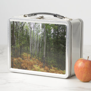 White Birch Trees and Fall Ferns at Rocky Mountain Metal Lunch Box