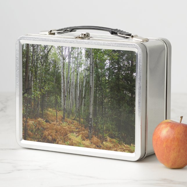 White Birch Trees and Fall Ferns at Rocky Mountain Metal Lunch Box (In Situ)