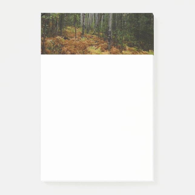 White Birch Trees and Fall Ferns at Rocky Mountain Post-it Notes (Front)
