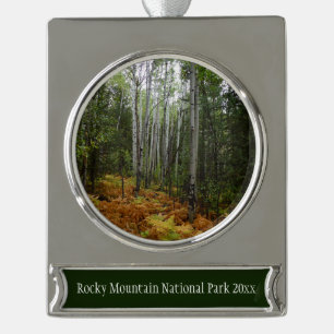 White Birch Trees and Fall Ferns at Rocky Mountain Silver Plated Banner Ornament