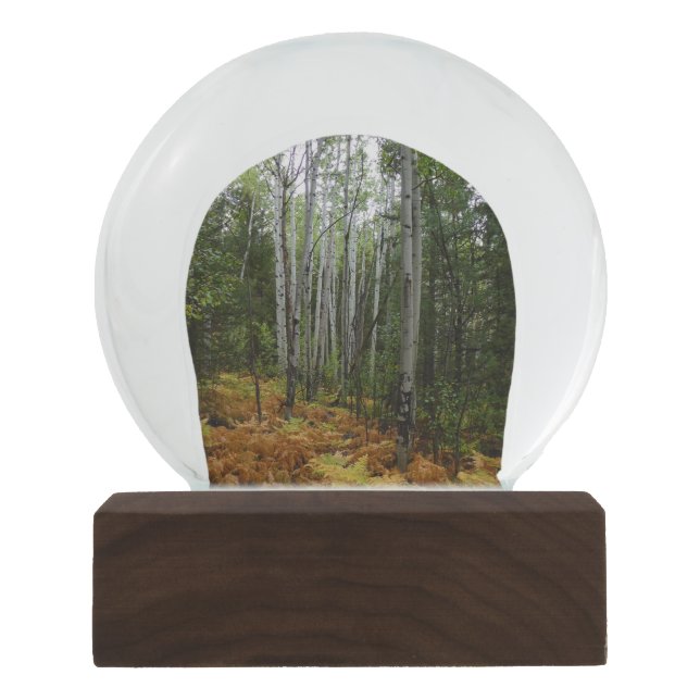 White Birch Trees and Fall Ferns at Rocky Mountain Snow Globe (Front)