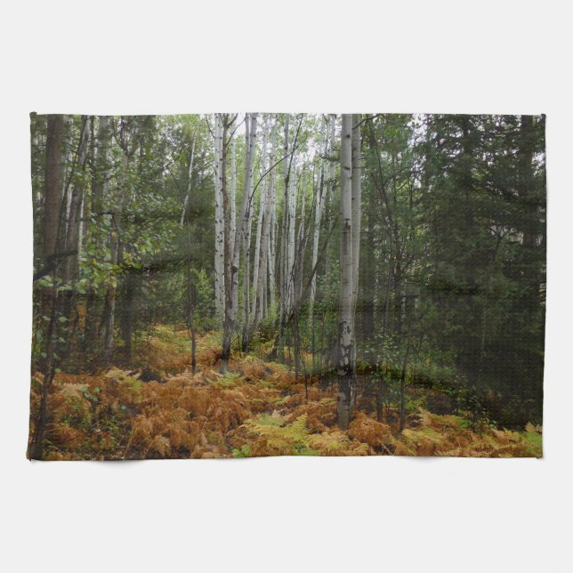 White Birch Trees and Fall Ferns at Rocky Mountain Tea Towel (Horizontal)