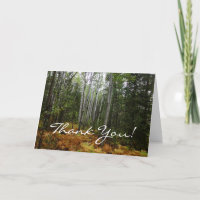 White Birch Trees and Fall Ferns at Rocky Mountain