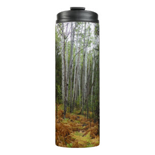 White Birch Trees and Fall Ferns at Rocky Mountain Thermal Tumbler