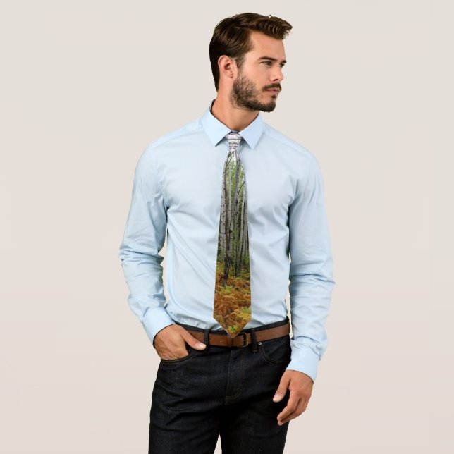 White Birch Trees and Fall Ferns at Rocky Mountain Tie (In Situ)