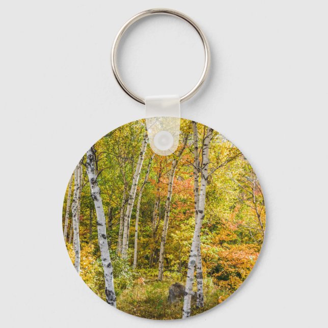 White Birches in Autumn Button Keychain (Front)