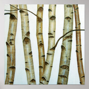 White birches poster