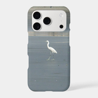White Bird on Grey Sand Beach Art Print