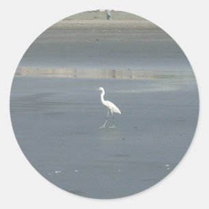 White Bird on Grey Sand Beach Art Print Classic Round Sticker