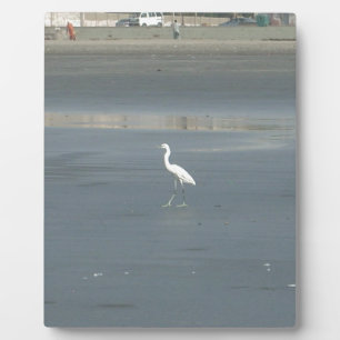 White Bird on Grey Sand Beach Art Print Plaque
