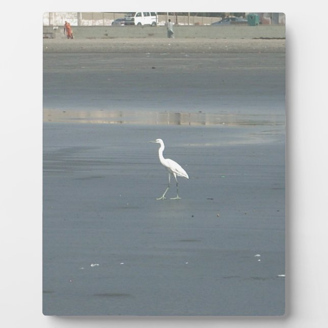 White Bird on Grey Sand Beach Art Print Plaque (Front)