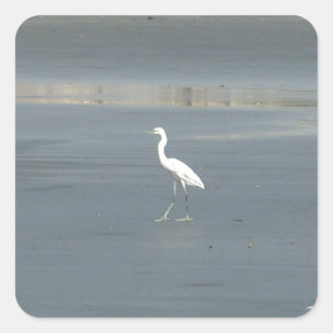 White Bird on Grey Sand Beach Art Print Square Sticker