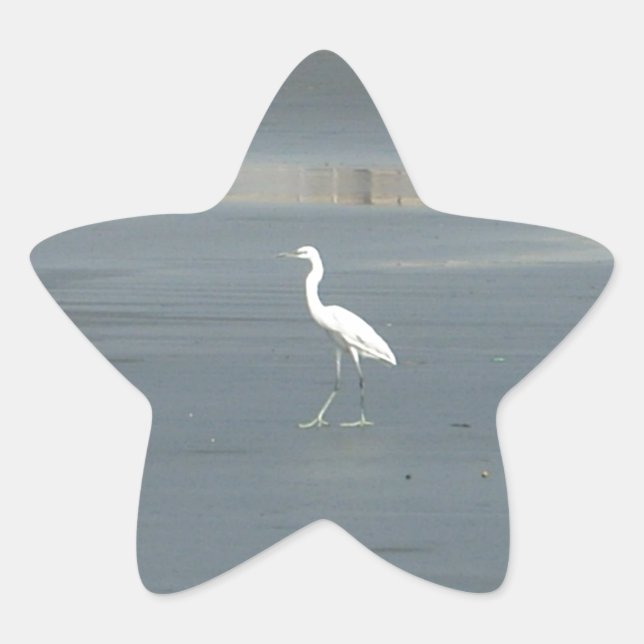 White Bird on Grey Sand Beach Art Print Star Sticker (Front)