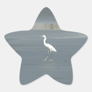 White Bird on Grey Sand Beach Art Print Star Sticker