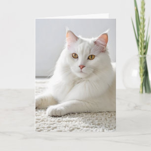 White Birthday Cat On White Carpet Card