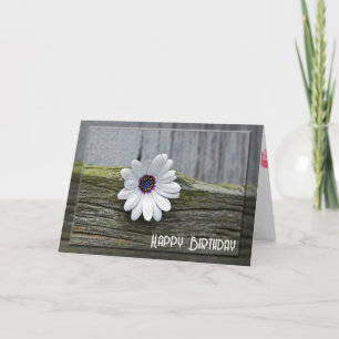 White Birthday Daisy On Wood Card