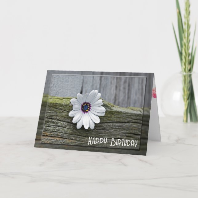 White Birthday Daisy On Wood Card (Front)