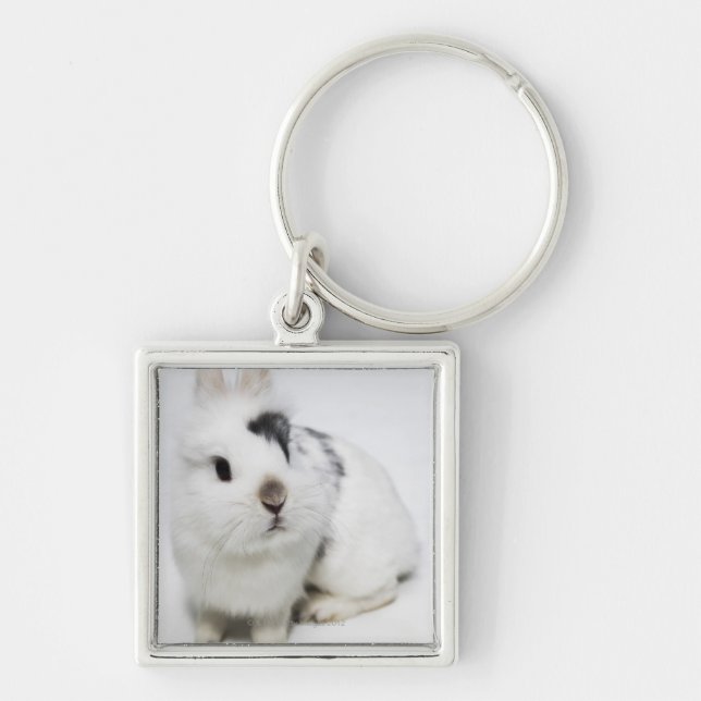 White, black and brown rabbit key ring (Front)