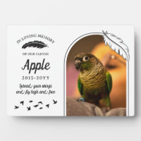 White Black Feathers In Loving Memory Pet Bird