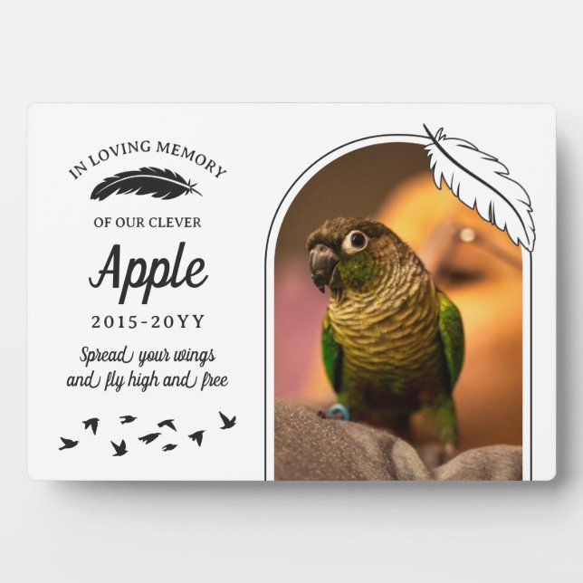 White Black Feathers In Loving Memory Pet Bird Plaque (Front)