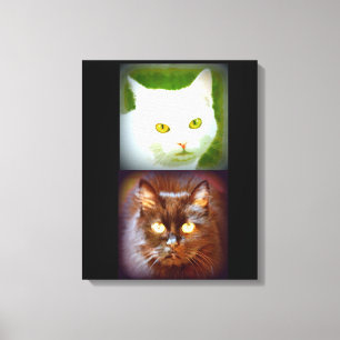 white/black kittycats canvas print