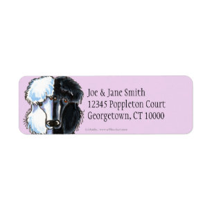 White & Black Standard Poodles