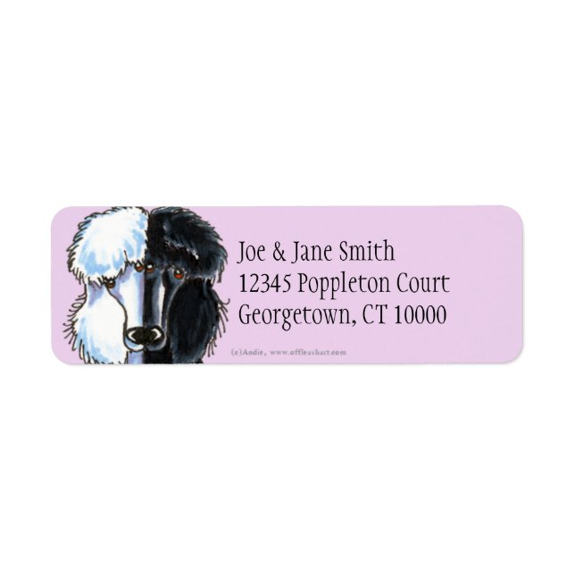 White & Black Standard Poodles (Front)