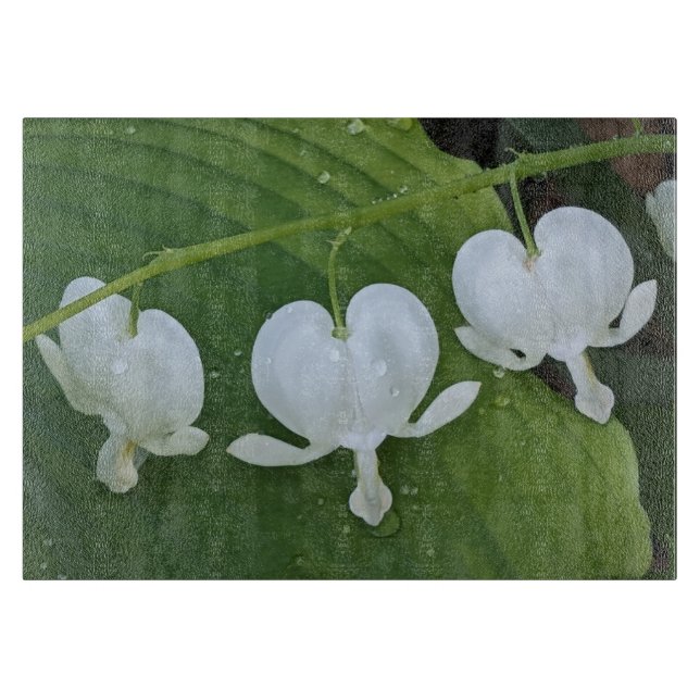 White Bleeding Heart Floral Cutting Board (Front)