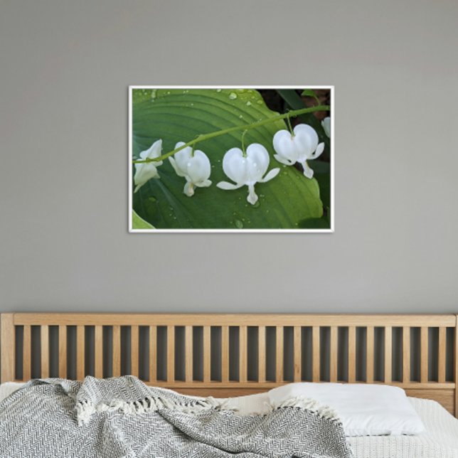 White Bleeding Heart Floral Poster (In Situ (Framed))