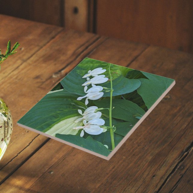 White Bleeding Heart Floral Tile (In Situ)
