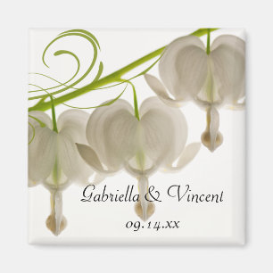 White Bleeding Heart Flowers Wedding Magnet