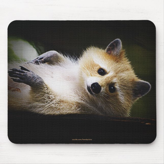 White Blonde Racoon Wildlife Cute Animal Mouse Mat (Front)