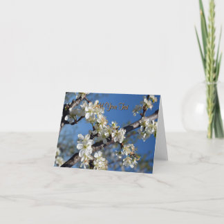 White blooming plum tree branch in spring card