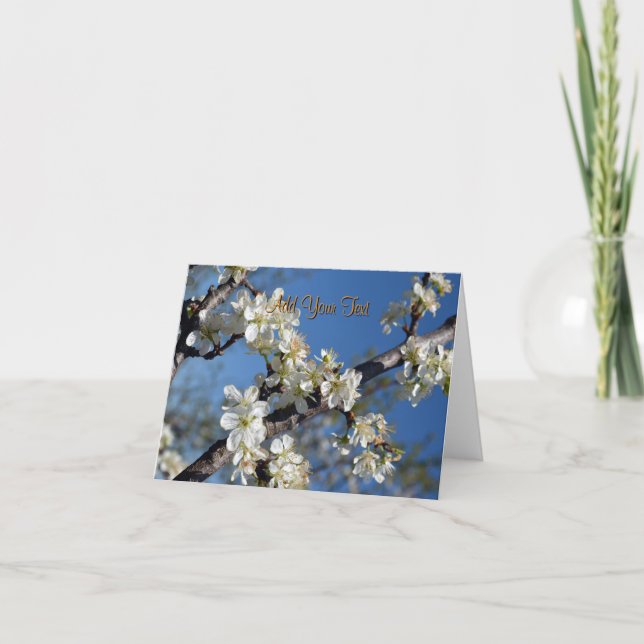 White blooming plum tree branch in spring card (Front)