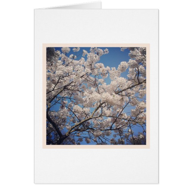 White Blossom (Front)