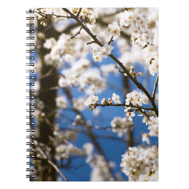 White Blossom blue sky background Notebook (Front)