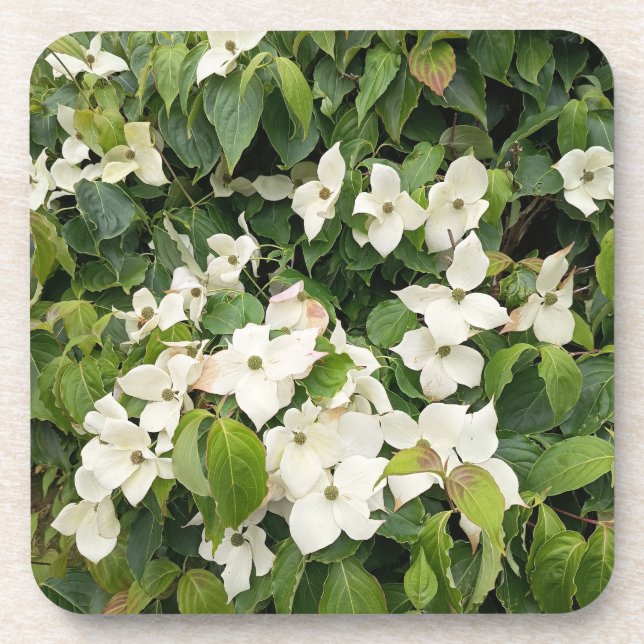 White Blossom Botanical Throw Pillow beverage coas Coaster (Front)