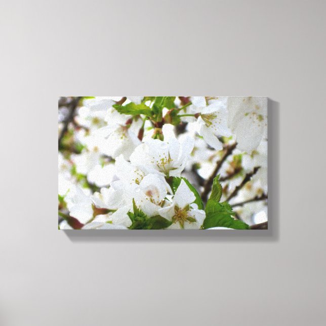 White Blossom Canvas Print (Front)