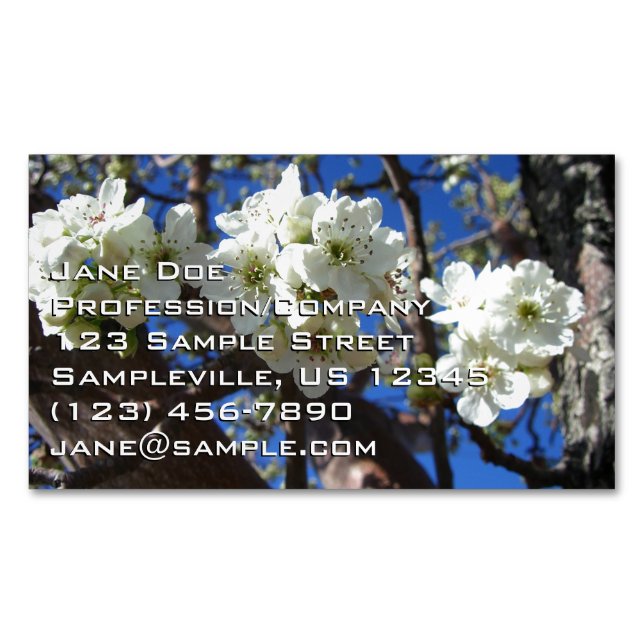 White Blossom Clusters Spring Flowering Pear Tree Magnetic Business Card (Front)