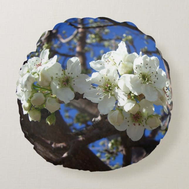 White Blossom Clusters Spring Flowering Pear Tree Round Cushion (Front)