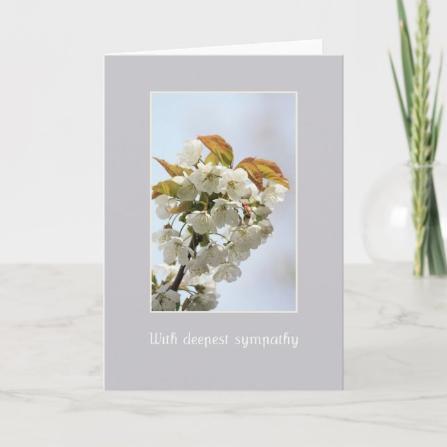 white blossom sympathy card.english card (Front)