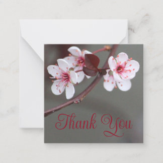 White Blossom With Pink Card