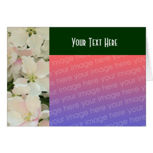 White Blossoms Floral Photo Card