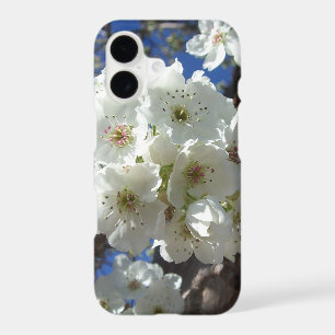 White Blossoms I Ornamental Pear Tree