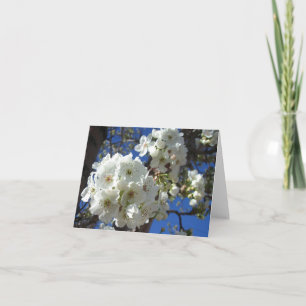 White Blossoms I Ornamental Pear Tree Card