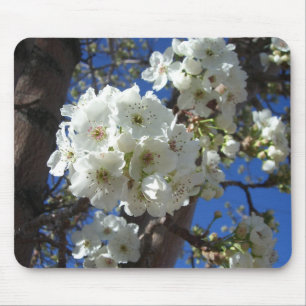 White Blossoms I Ornamental Pear Tree Mouse Mat
